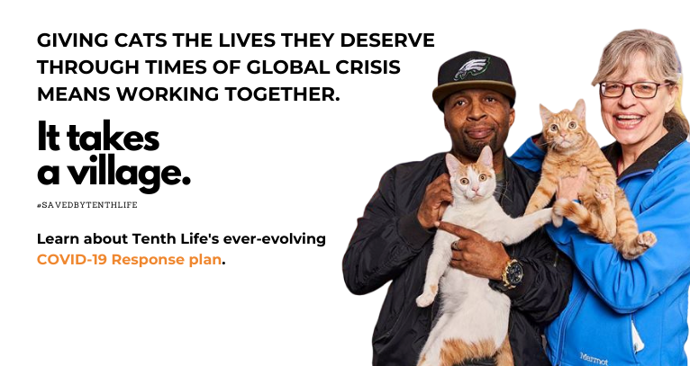 Welcome to Tenth Life Cat Rescue 