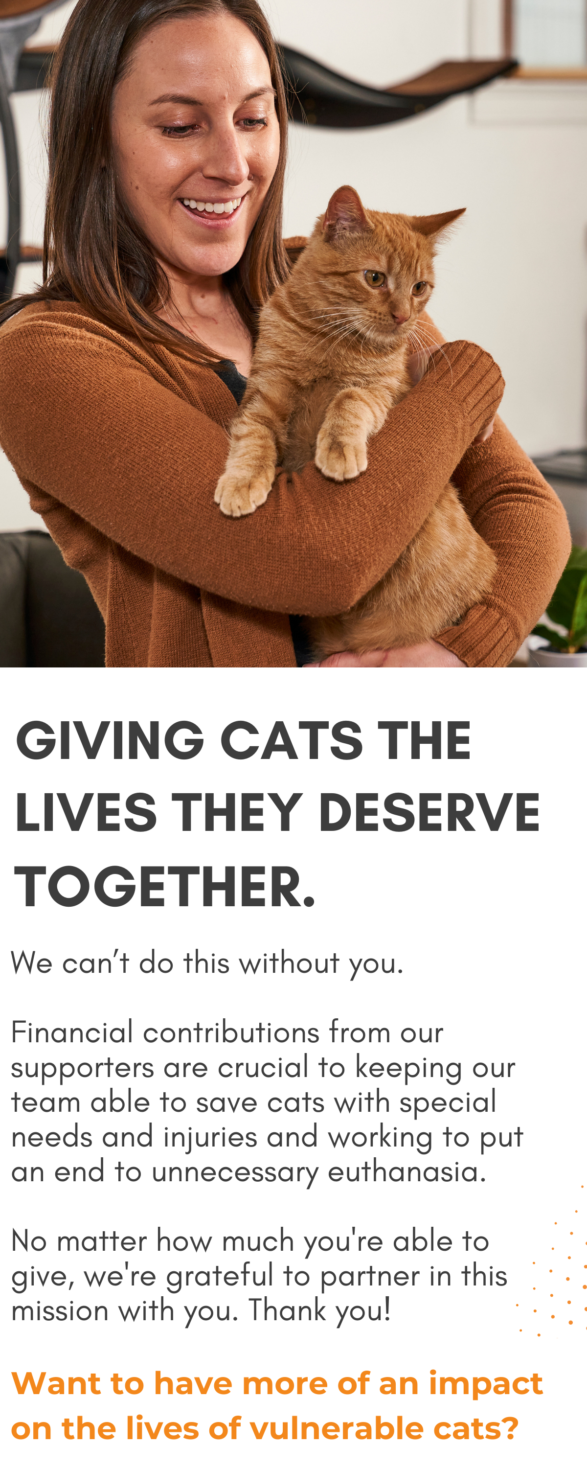 Support Our Mission  Tenth Life Cat Rescue